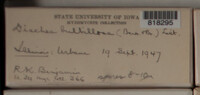 Image Associated With the Occurence